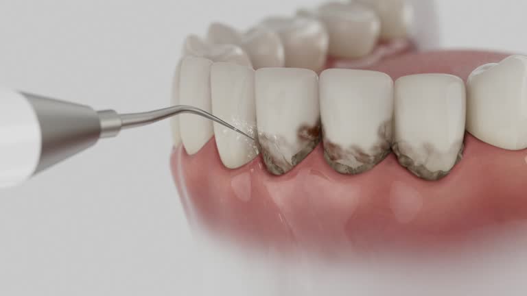 Reliable Dental contractor in Halfway House, PA by Dentist Open Now